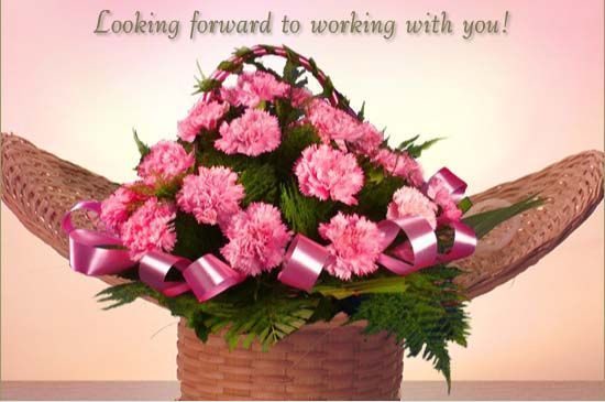 Looking Forward To Working With You: Everything You Need To Know
